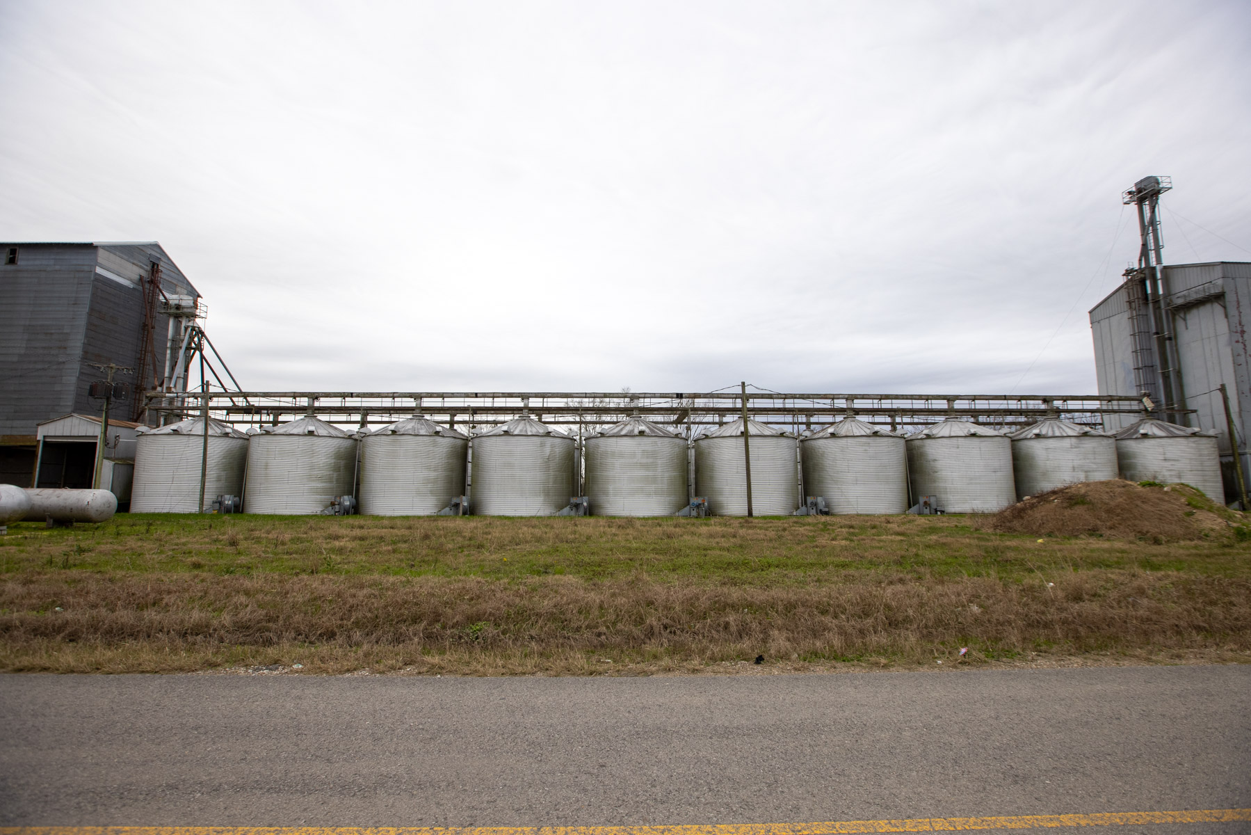 APC_FrugeFarmsAstorMorgan2023_0120-1275